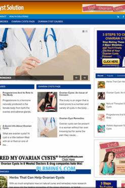 Ovarian Cysts Niche PLR WordPress Website