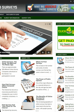 Paid Surveys Online PLR Blog