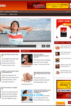 Path to Genius Niche WordPress PLR Blog