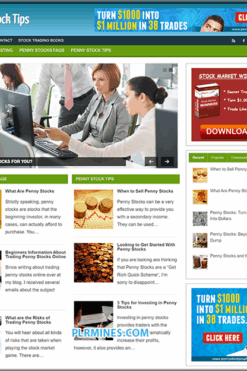 Penny Stocks PLR Blog