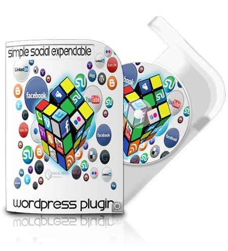 Rich Snippets Plugin