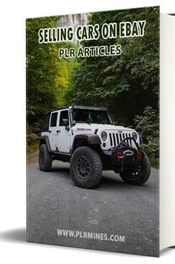 Selling Cars On Ebay PLR Articles