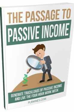 The Passage to Passive Income eBook with PLR
