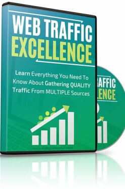 Web Traffic Excellence