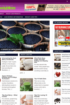 Weight Loss Acai PLR Blog