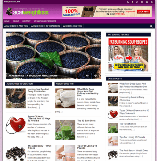 Weight Loss Acai PLR Blog